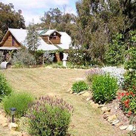 Moonbeam Cottages & Rainbow Cafe Moonambel 외부 사진